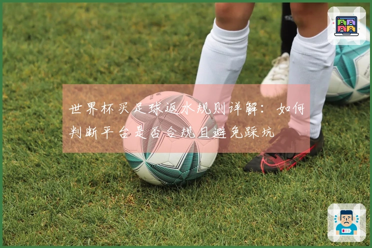 世界杯买足球返水规则详解:如何判断平台是否合规且避免踩坑