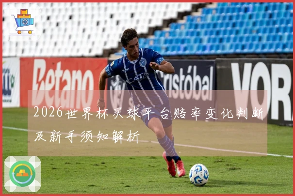 2026世界杯买球平台赔率变化判断及新手须知解析